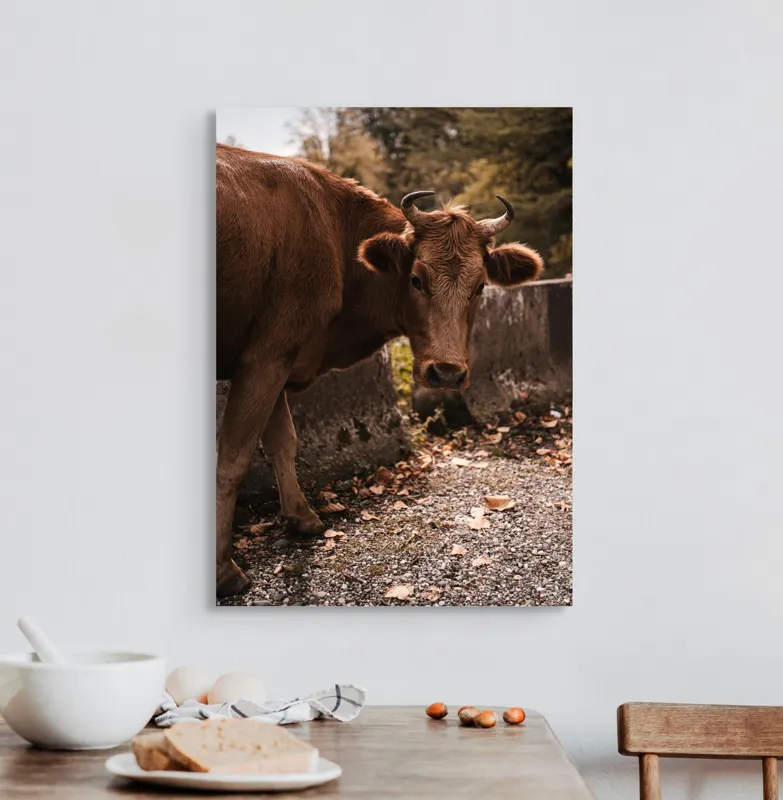 Tablou Canvas, "Vaca privind spre apusul toamnei", Vacă, Brunet, Peisaj, Căldură, Natură, Frunze, Potecă, 50 x 70 cm – poza 3