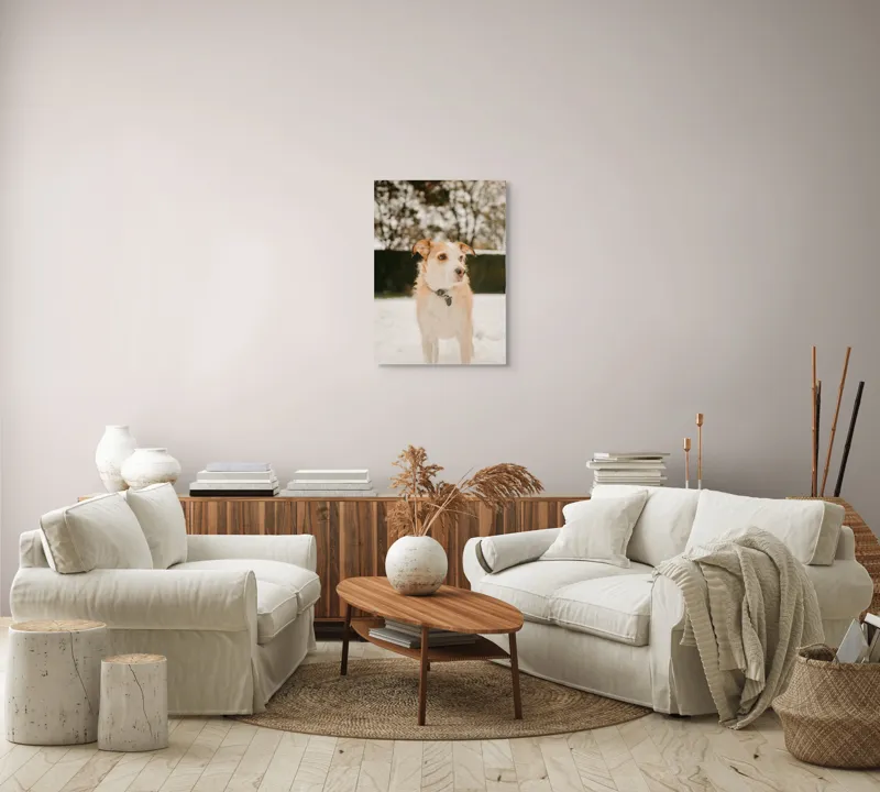 Tablou Canvas, "Câine curajos în zăpadă liniștită", Câine, Zăpadă, Blană, Natură, Peisaj, Iarnă, Urechi, Ochi, Copaci, Cald., 50 x 70 cm – poza 4