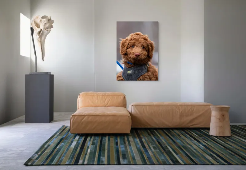 Tablou Canvas, "Cățețelul cu blana ca sierotcărele", 70 x 100 cm – poza 7