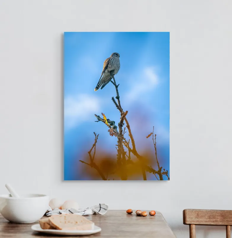 Tablou Canvas, "Pasărea frumos colorată pe ramură uscată", Pasăre, Ramură, Cer, Albastru, Nori, Observație, Natură, Libertate, Frumusețe, Vedere, 50 x 70 cm – poza 3