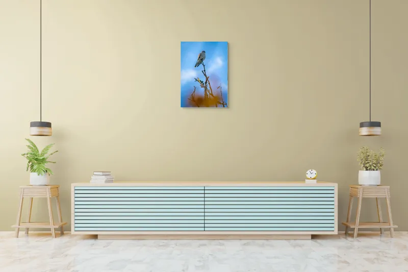 Tablou Canvas, "Pasărea frumos colorată pe ramură uscată", Pasăre, Ramură, Cer, Albastru, Nori, Observație, Natură, Libertate, Frumusețe, Vedere, 50 x 70 cm – poza 6