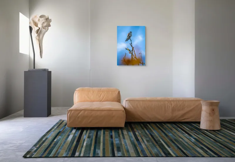 Tablou Canvas, "Pasărea frumos colorată pe ramură uscată", Pasăre, Ramură, Cer, Albastru, Nori, Observație, Natură, Libertate, Frumusețe, Vedere, 50 x 70 cm – poza 7