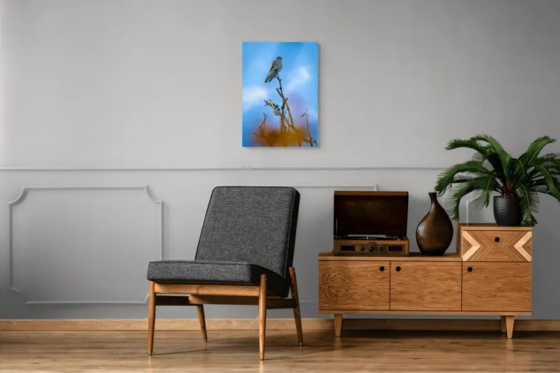 Tablou Canvas, "Pasărea frumos colorată pe ramură uscată", Pasăre, Ramură, Cer, Albastru, Nori, Observație, Natură, Libertate, Frumusețe, Vedere, 50 x 70 cm – poza 8