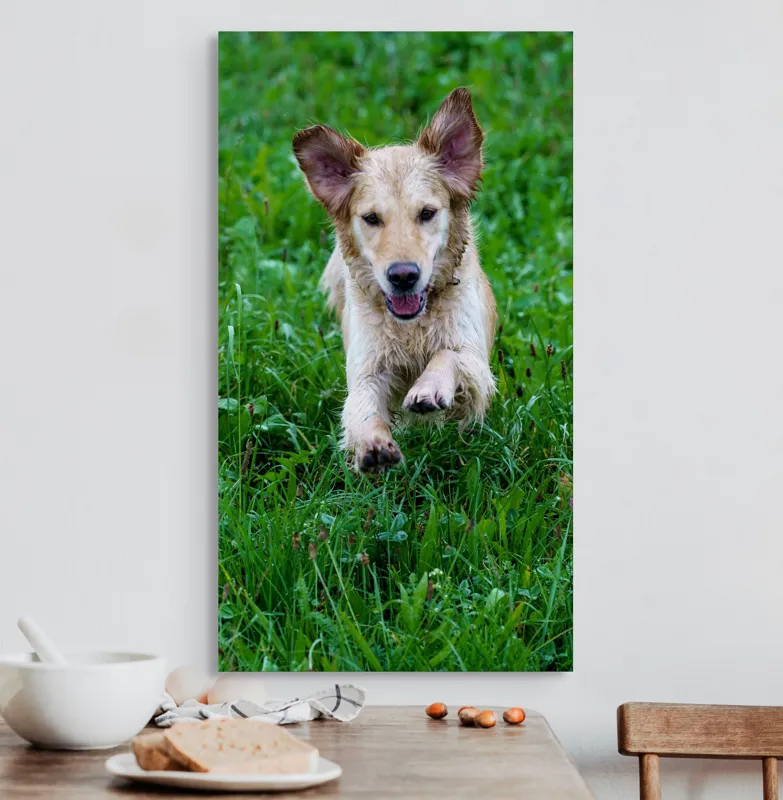 Tablou Canvas, "Cățeluș jucăuș alergând prin iarbă", Nu pot spune cine este în imagine, dar e un câine jucăuș alergând prin iarbă., 50 x 90 cm – poza 3