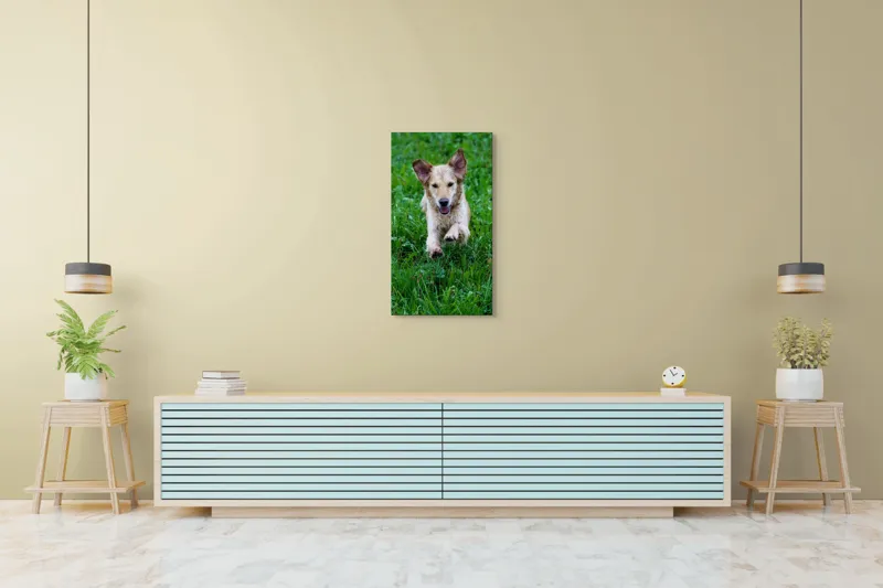 Tablou Canvas, "Cățeluș jucăuș alergând prin iarbă", Nu pot spune cine este în imagine, dar e un câine jucăuș alergând prin iarbă., 50 x 90 cm – poza 6