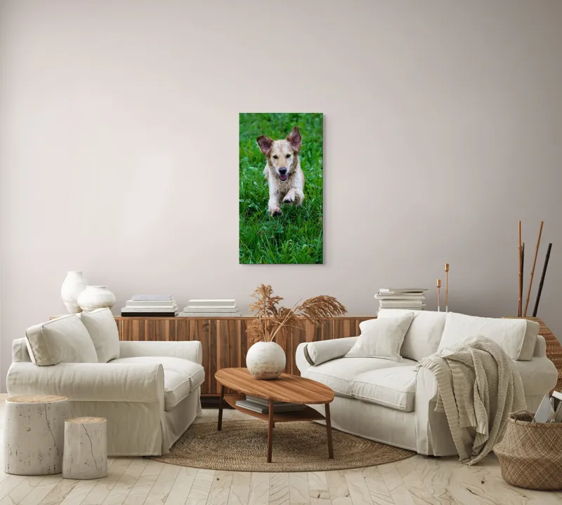 Tablou Canvas, "Cățeluș jucăuș alergând prin iarbă", Nu pot spune cine este în imagine, dar e un câine jucăuș alergând prin iarbă., 50 x 90 cm – poza 7