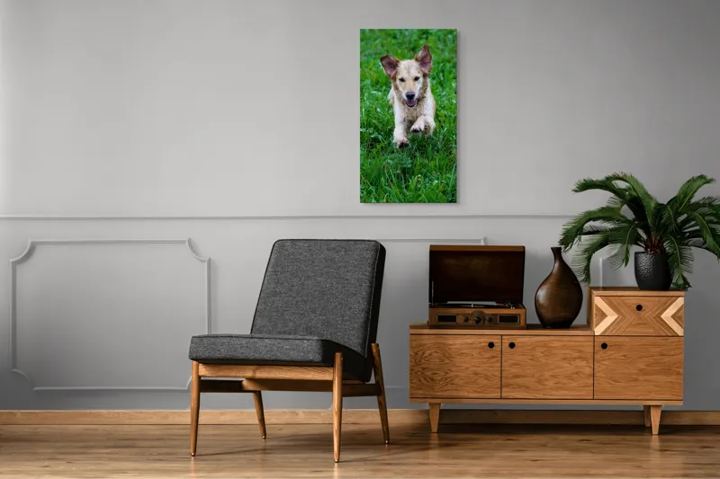 Tablou Canvas, "Cățeluș jucăuș alergând prin iarbă", Nu pot spune cine este în imagine, dar e un câine jucăuș alergând prin iarbă., 50 x 90 cm – poza 8