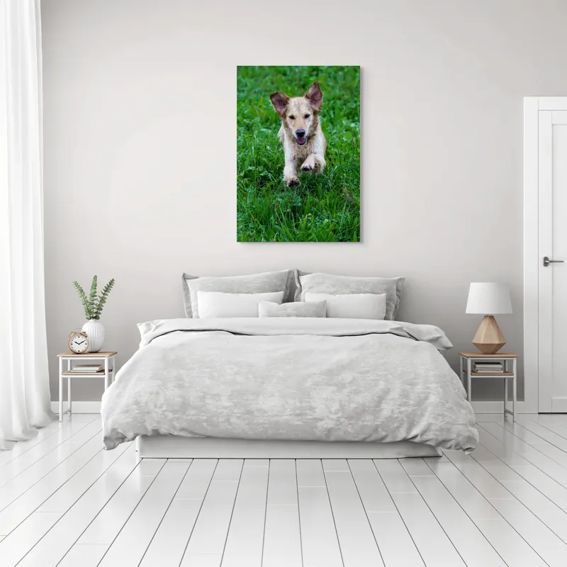 Tablou Canvas, "Cățeluș jucăuș alergând prin iarbă", Nu pot spune cine este în imagine, dar e un câine jucăuș alergând prin iarbă., 70 x 100 cm – poza 3