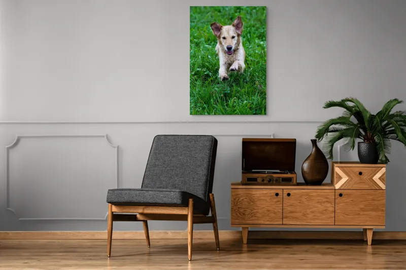 Tablou Canvas, "Cățeluș jucăuș alergând prin iarbă", Nu pot spune cine este în imagine, dar e un câine jucăuș alergând prin iarbă., 70 x 100 cm – poza 6