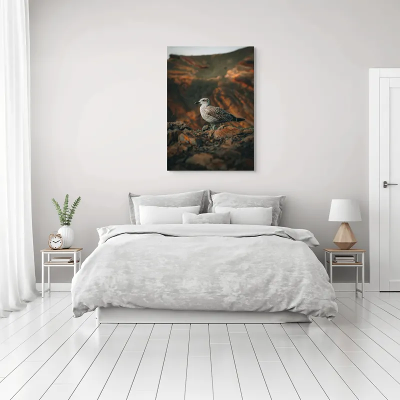 Tablou Canvas, "Pescăruș pe stânci aride la apus", Pescăruș, Stânci, Cer, Natură, Peisaj, Serenitate, Plumaj, 70 x 100 cm – poza 3