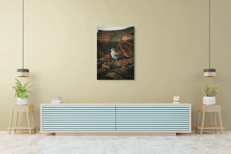 Tablou Canvas, "Pescăruș pe stânci aride la apus", Pescăruș, Stânci, Cer, Natură, Peisaj, Serenitate, Plumaj, 70 x 100 cm – poza 5