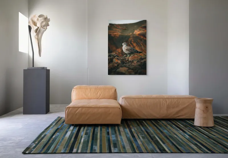Tablou Canvas, "Pescăruș pe stânci aride la apus", Pescăruș, Stânci, Cer, Natură, Peisaj, Serenitate, Plumaj, 70 x 100 cm – poza 7