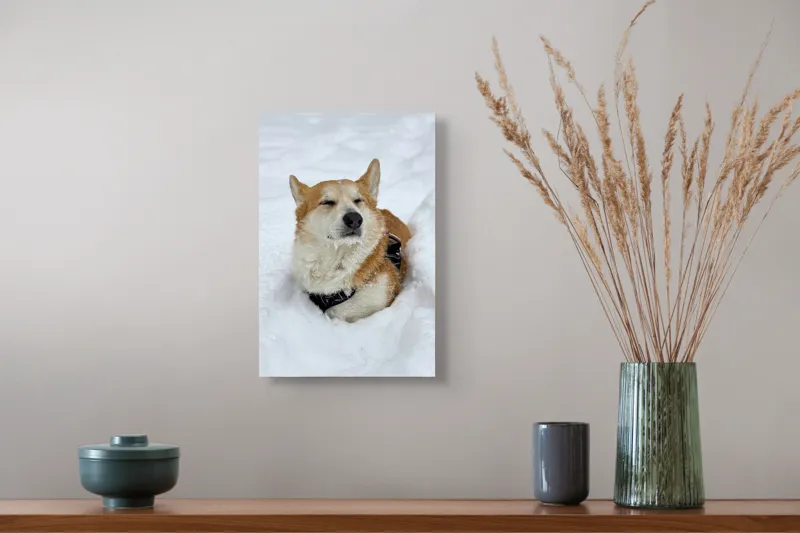 Tablou Canvas, "Corgi fericit în zăpada moale", I don't know who this is, but it looks like a dog enjoying the snow!, 26 x 39 cm – poza 5