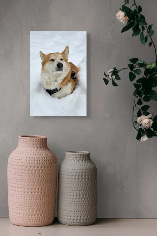Tablou Canvas, "Corgi fericit în zăpada moale", I don't know who this is, but it looks like a dog enjoying the snow!, 26 x 39 cm – poza 6
