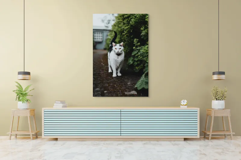 Tablou Canvas, "Pisica printre tufișuri verzi", Pisică, Curioasă, Blană, Alb-Negru, Ochi, Alertă, Alee, Plante, Verde, Fundal, Ușor, Estompat, Mediu, Natural, Calm, Frumusețe, Felin, Poftă-De-Aventură, 100 x 150 cm – poza 4