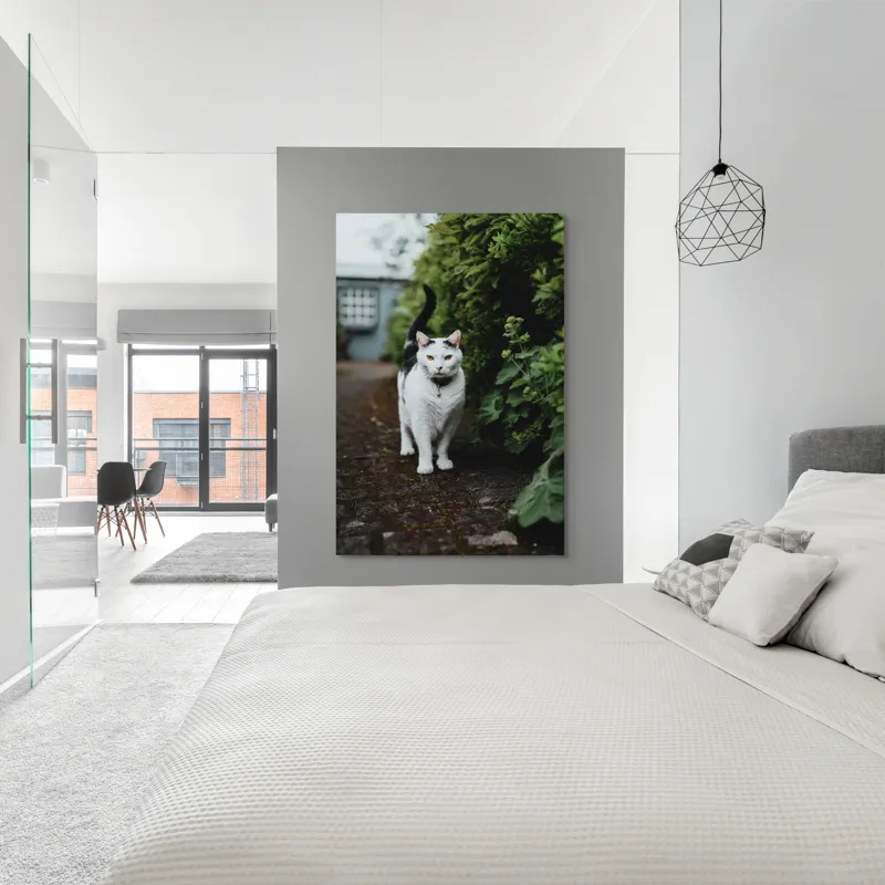 Tablou Canvas, "Pisica printre tufișuri verzi", Pisică, Curioasă, Blană, Alb-Negru, Ochi, Alertă, Alee, Plante, Verde, Fundal, Ușor, Estompat, Mediu, Natural, Calm, Frumusețe, Felin, Poftă-De-Aventură, 100 x 150 cm – poza 5