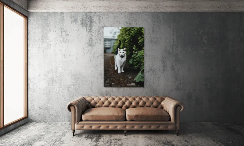 Tablou Canvas, "Pisica printre tufișuri verzi", Pisică, Curioasă, Blană, Alb-Negru, Ochi, Alertă, Alee, Plante, Verde, Fundal, Ușor, Estompat, Mediu, Natural, Calm, Frumusețe, Felin, Poftă-De-Aventură, 100 x 150 cm – poza 6