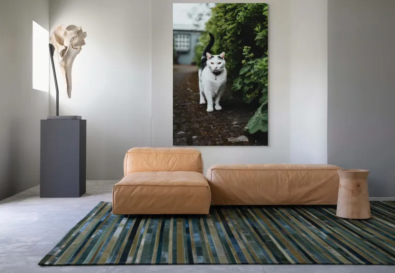 Tablou Canvas, "Pisica printre tufișuri verzi", Pisică, Curioasă, Blană, Alb-Negru, Ochi, Alertă, Alee, Plante, Verde, Fundal, Ușor, Estompat, Mediu, Natural, Calm, Frumusețe, Felin, Poftă-De-Aventură, 100 x 150 cm – poza 7