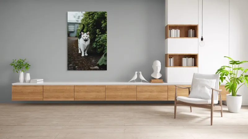 Tablou Canvas, "Pisica printre tufișuri verzi", Pisică, Curioasă, Blană, Alb-Negru, Ochi, Alertă, Alee, Plante, Verde, Fundal, Ușor, Estompat, Mediu, Natural, Calm, Frumusețe, Felin, Poftă-De-Aventură, 100 x 150 cm – poza 8