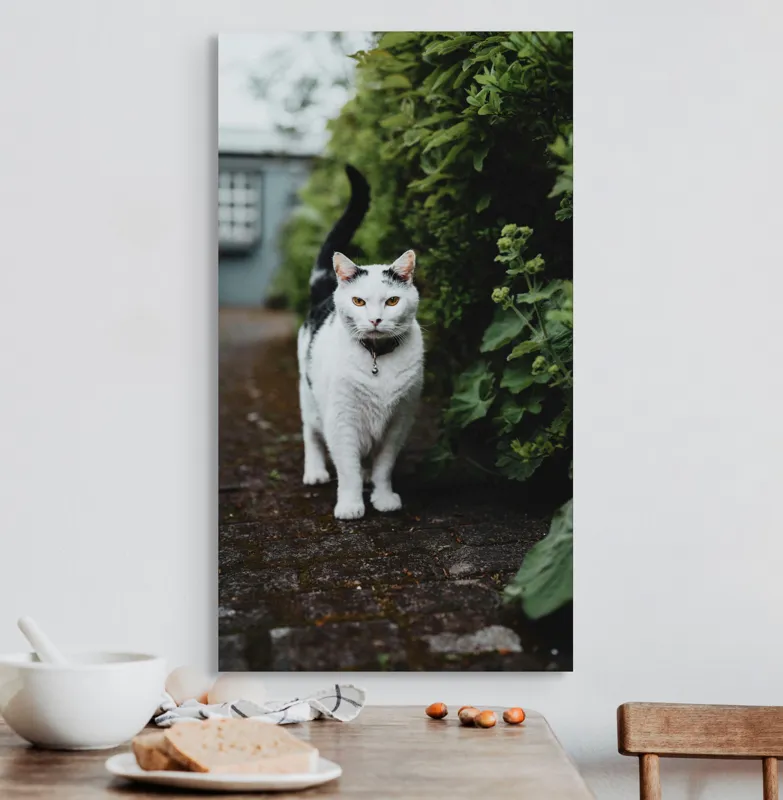 Tablou Canvas, "Pisica printre tufișuri verzi", Pisică, Curioasă, Blană, Alb-Negru, Ochi, Alertă, Alee, Plante, Verde, Fundal, Ușor, Estompat, Mediu, Natural, Calm, Frumusețe, Felin, Poftă-De-Aventură, 50 x 90 cm – poza 3