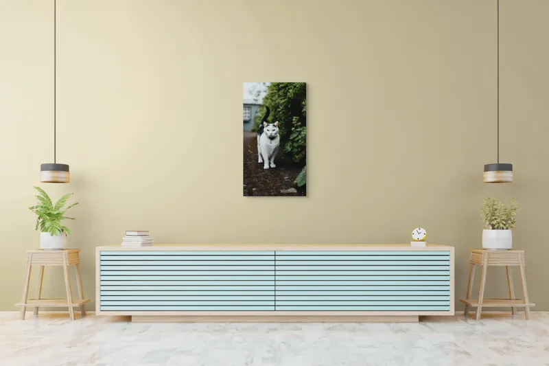 Tablou Canvas, "Pisica printre tufișuri verzi", Pisică, Curioasă, Blană, Alb-Negru, Ochi, Alertă, Alee, Plante, Verde, Fundal, Ușor, Estompat, Mediu, Natural, Calm, Frumusețe, Felin, Poftă-De-Aventură, 50 x 90 cm – poza 6