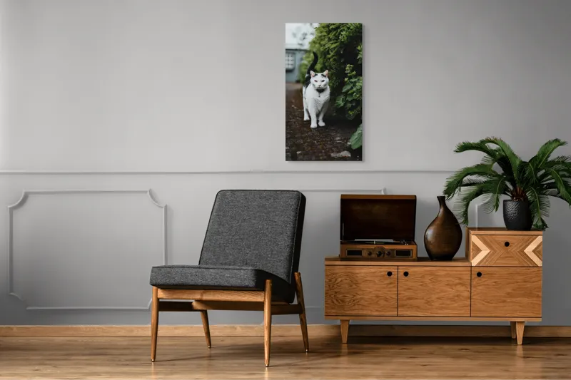 Tablou Canvas, "Pisica printre tufișuri verzi", Pisică, Curioasă, Blană, Alb-Negru, Ochi, Alertă, Alee, Plante, Verde, Fundal, Ușor, Estompat, Mediu, Natural, Calm, Frumusețe, Felin, Poftă-De-Aventură, 50 x 90 cm – poza 8