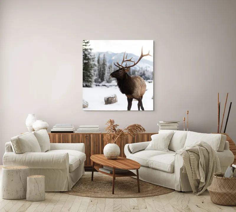Tablou Canvas, "Elanul în peisaj montan de iarnă", Cerb, Zăpadă, Pădure, Munți, Iarnă, Antlers, Natură, Culoare, Frig, Calm, 100 x 100 cm – poza 3