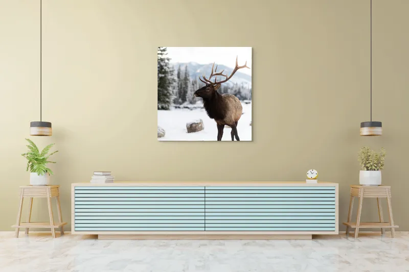 Tablou Canvas, "Elanul în peisaj montan de iarnă", Cerb, Zăpadă, Pădure, Munți, Iarnă, Antlers, Natură, Culoare, Frig, Calm, 100 x 100 cm – poza 5