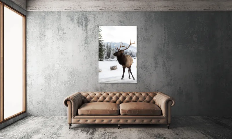 Tablou Canvas, "Elanul în peisaj montan de iarnă", Cerb, Zăpadă, Pădure, Munți, Iarnă, Antlers, Natură, Culoare, Frig, Calm, 100 x 150 cm – poza 6