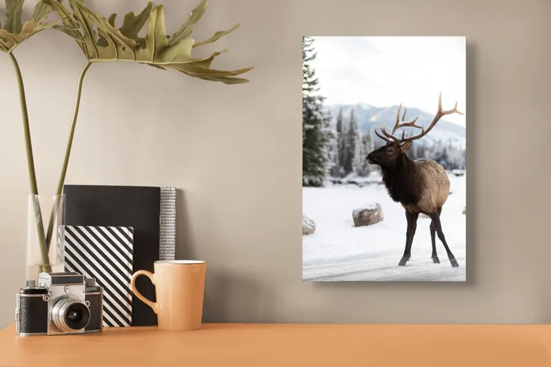 Tablou Canvas, "Elanul în peisaj montan de iarnă", Cerb, Zăpadă, Pădure, Munți, Iarnă, Antlers, Natură, Culoare, Frig, Calm, 26 x 39 cm – poza 3