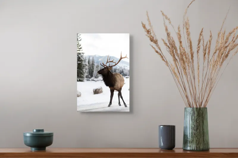 Tablou Canvas, "Elanul în peisaj montan de iarnă", Cerb, Zăpadă, Pădure, Munți, Iarnă, Antlers, Natură, Culoare, Frig, Calm, 26 x 39 cm – poza 5