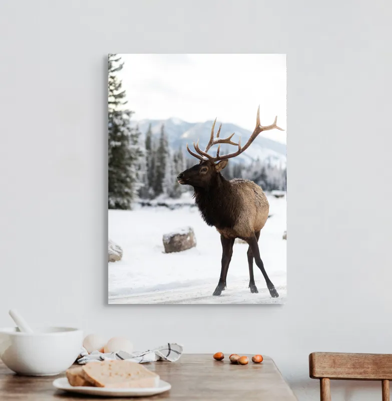 Tablou Canvas, "Elanul în peisaj montan de iarnă", Cerb, Zăpadă, Pădure, Munți, Iarnă, Antlers, Natură, Culoare, Frig, Calm, 50 x 70 cm – poza 3