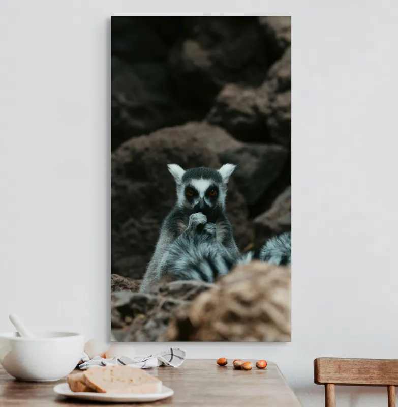 Tablou Canvas, "Lemur curajos în habitatul său natural", Lemur, Pufos, Pietre, Privire, Misterios, Natură, Codiță, Ascuns, 50 x 90 cm – poza 3