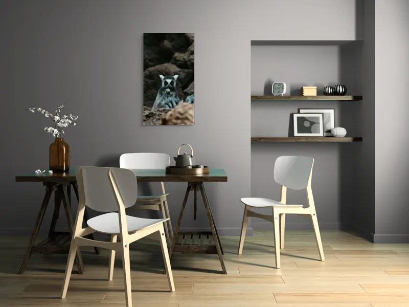 Tablou Canvas, "Lemur curajos în habitatul său natural", Lemur, Pufos, Pietre, Privire, Misterios, Natură, Codiță, Ascuns, 50 x 90 cm – poza 4