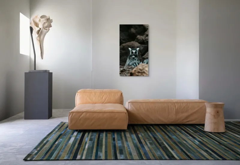Tablou Canvas, "Lemur curajos în habitatul său natural", Lemur, Pufos, Pietre, Privire, Misterios, Natură, Codiță, Ascuns, 50 x 90 cm – poza 5