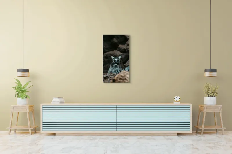 Tablou Canvas, "Lemur curajos în habitatul său natural", Lemur, Pufos, Pietre, Privire, Misterios, Natură, Codiță, Ascuns, 50 x 90 cm – poza 6