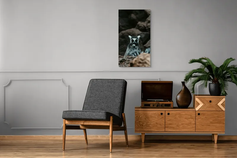 Tablou Canvas, "Lemur curajos în habitatul său natural", Lemur, Pufos, Pietre, Privire, Misterios, Natură, Codiță, Ascuns, 50 x 90 cm – poza 8