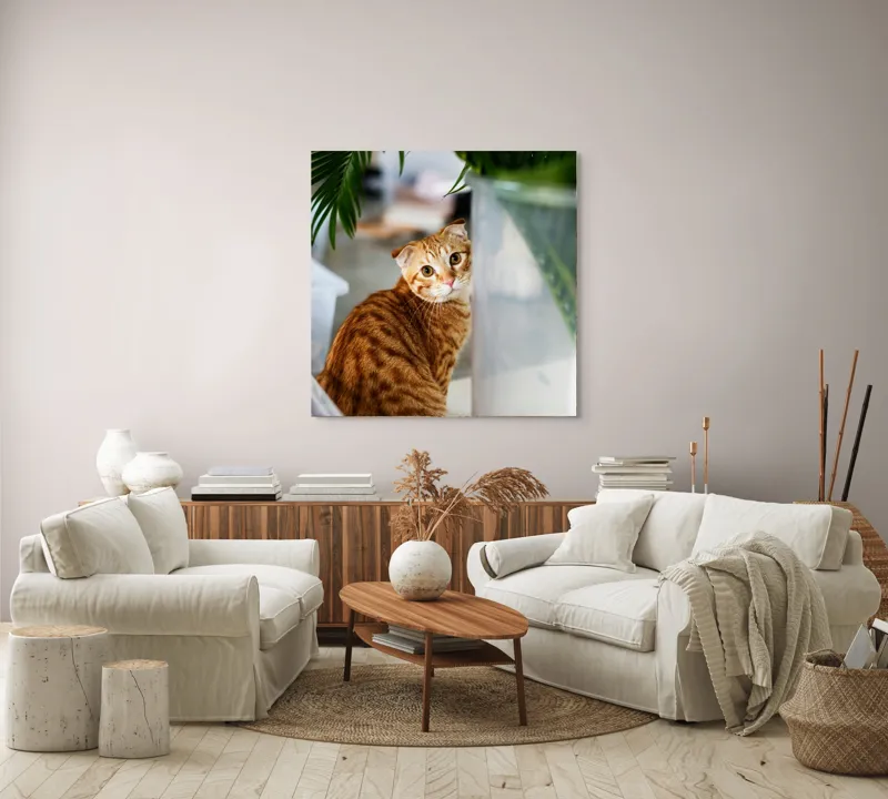Tablou Canvas, "Pisica tigrată admirând planta verde", Pisică, Blană, Tărcat, Plante, Privire, Curiozitate, Urechi, Interior, Fotografiere, 100 x 100 cm – poza 3