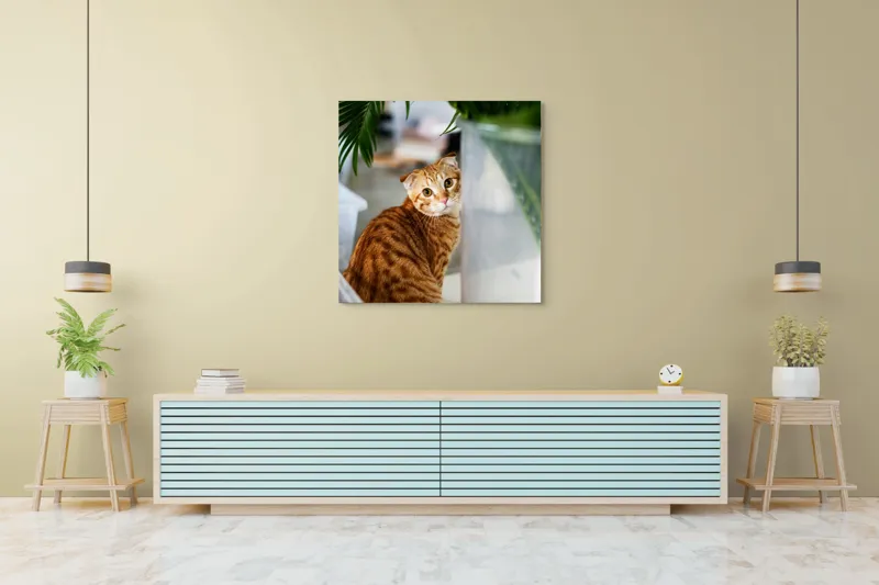 Tablou Canvas, "Pisica tigrată admirând planta verde", Pisică, Blană, Tărcat, Plante, Privire, Curiozitate, Urechi, Interior, Fotografiere, 100 x 100 cm – poza 5