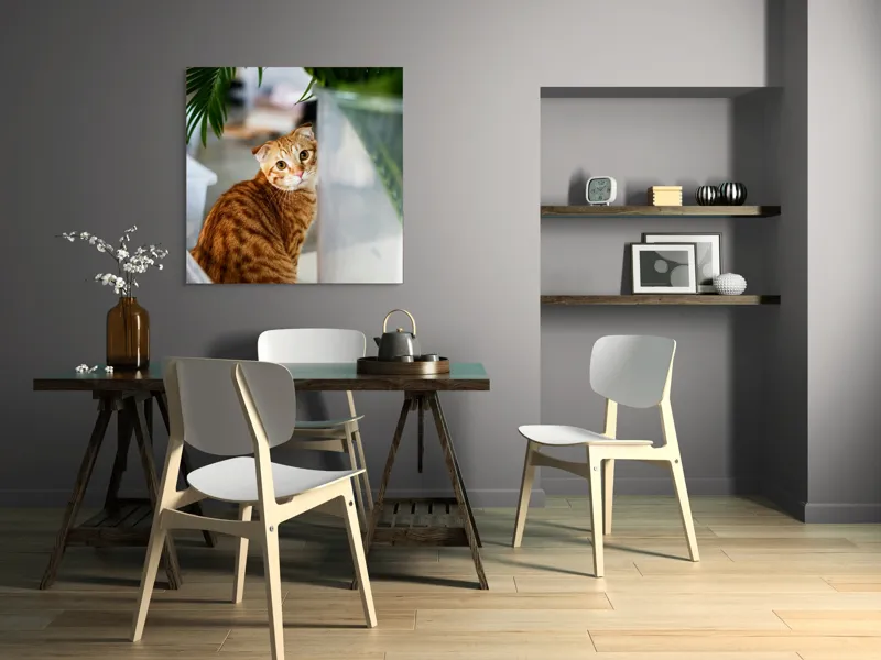 Tablou Canvas, "Pisica tigrată admirând planta verde", Pisică, Blană, Tărcat, Plante, Privire, Curiozitate, Urechi, Interior, Fotografiere, 100 x 100 cm – poza 6