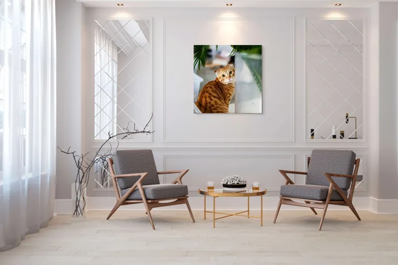 Tablou Canvas, "Pisica tigrată admirând planta verde", Pisică, Blană, Tărcat, Plante, Privire, Curiozitate, Urechi, Interior, Fotografiere, 100 x 100 cm – poza 7