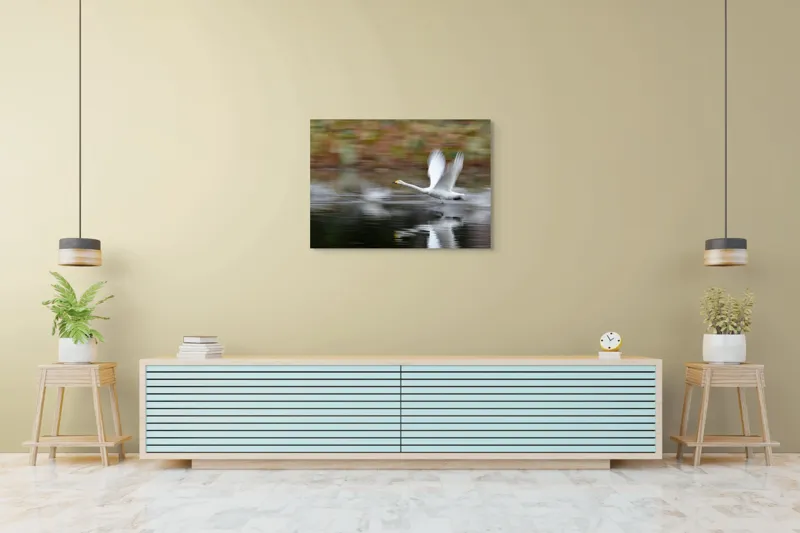 Tablou Canvas, "Zborul grațios al lebedei albe", Grație, Viteză, Reflecție, Aripi, Apă, Liniște, Natură, Zbor., 100 x 70 cm – poza 4
