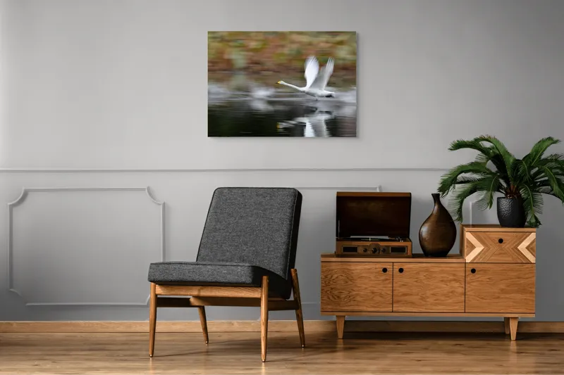 Tablou Canvas, "Zborul grațios al lebedei albe", Grație, Viteză, Reflecție, Aripi, Apă, Liniște, Natură, Zbor., 100 x 70 cm – poza 8