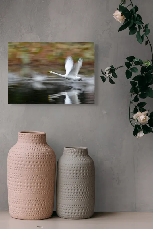 Tablou Canvas, "Zborul grațios al lebedei albe", Grație, Viteză, Reflecție, Aripi, Apă, Liniște, Natură, Zbor., 54 x 39 cm – poza 8