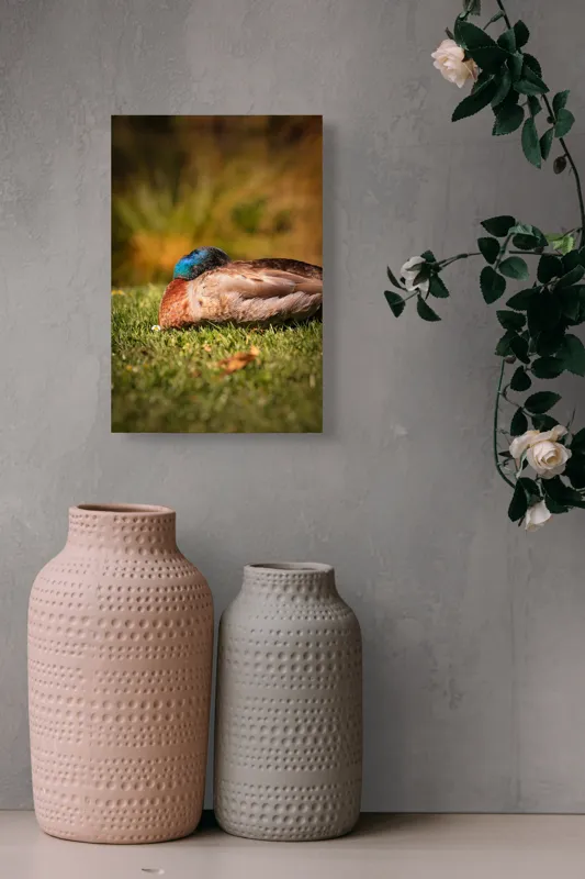 Tablou Canvas, "Rățușca dormind pe curcubeu de iarbă", Rățușcă, Somnoros, Verde, Maro, Natură, Odihnă, Gazon, Liniște, Culori, Blândețe, 26 x 39 cm – poza 6