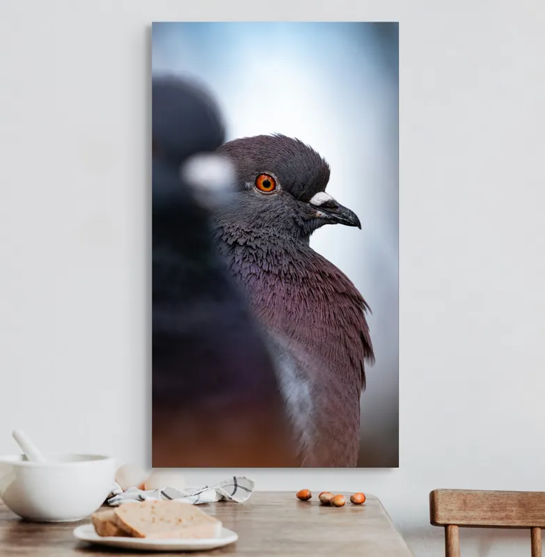 Tablou Canvas, "Porumbeii veghează orașul adormit", Pigeon, Focus, Feather, Eye, Perception, Blur, Contrast, Detail, Calmness, Urban., 50 x 90 cm – poza 3