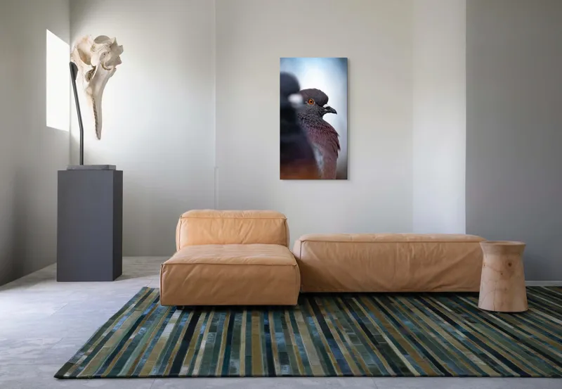 Tablou Canvas, "Porumbeii veghează orașul adormit", Pigeon, Focus, Feather, Eye, Perception, Blur, Contrast, Detail, Calmness, Urban., 50 x 90 cm – poza 5