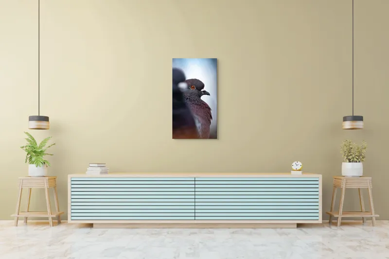 Tablou Canvas, "Porumbeii veghează orașul adormit", Pigeon, Focus, Feather, Eye, Perception, Blur, Contrast, Detail, Calmness, Urban., 50 x 90 cm – poza 6