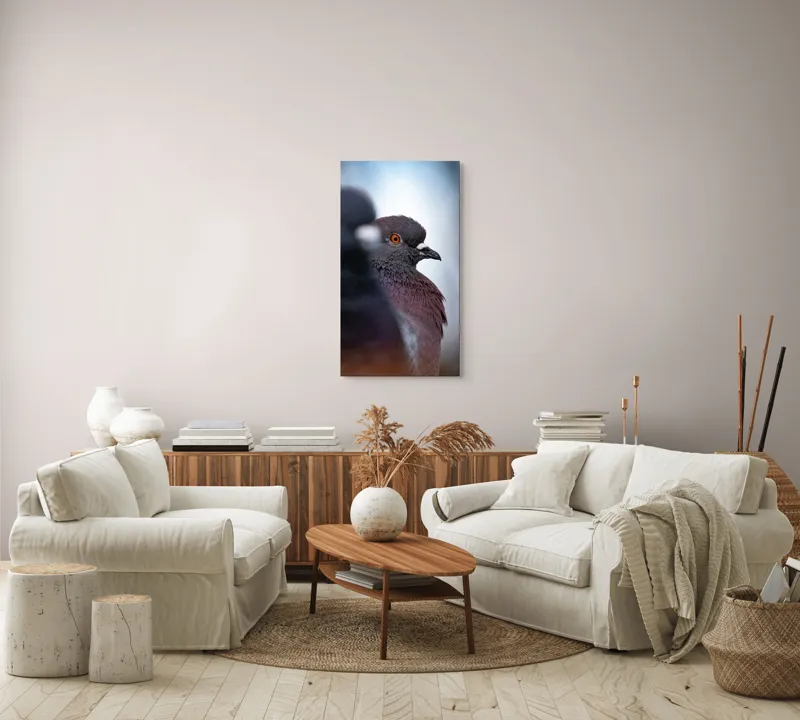 Tablou Canvas, "Porumbeii veghează orașul adormit", Pigeon, Focus, Feather, Eye, Perception, Blur, Contrast, Detail, Calmness, Urban., 50 x 90 cm – poza 7
