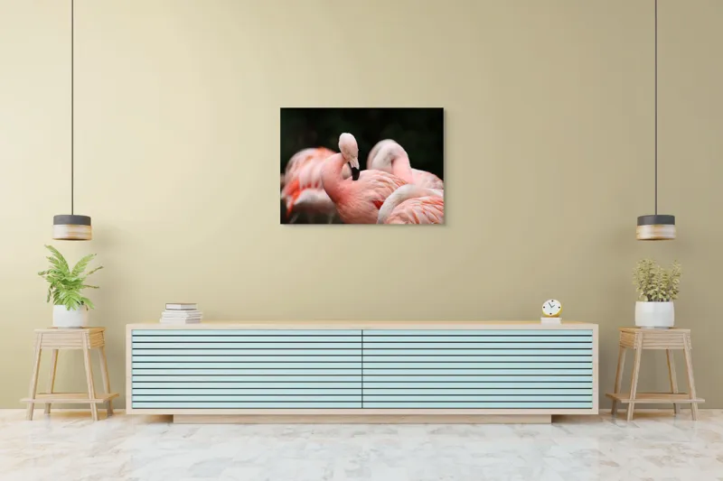 Tablou Canvas, "Grup de flamingo în repaus roz", Flamingo, Roz, Delicat, Elegant, Grup, Aripi, Penaj, 100 x 70 cm – poza 4
